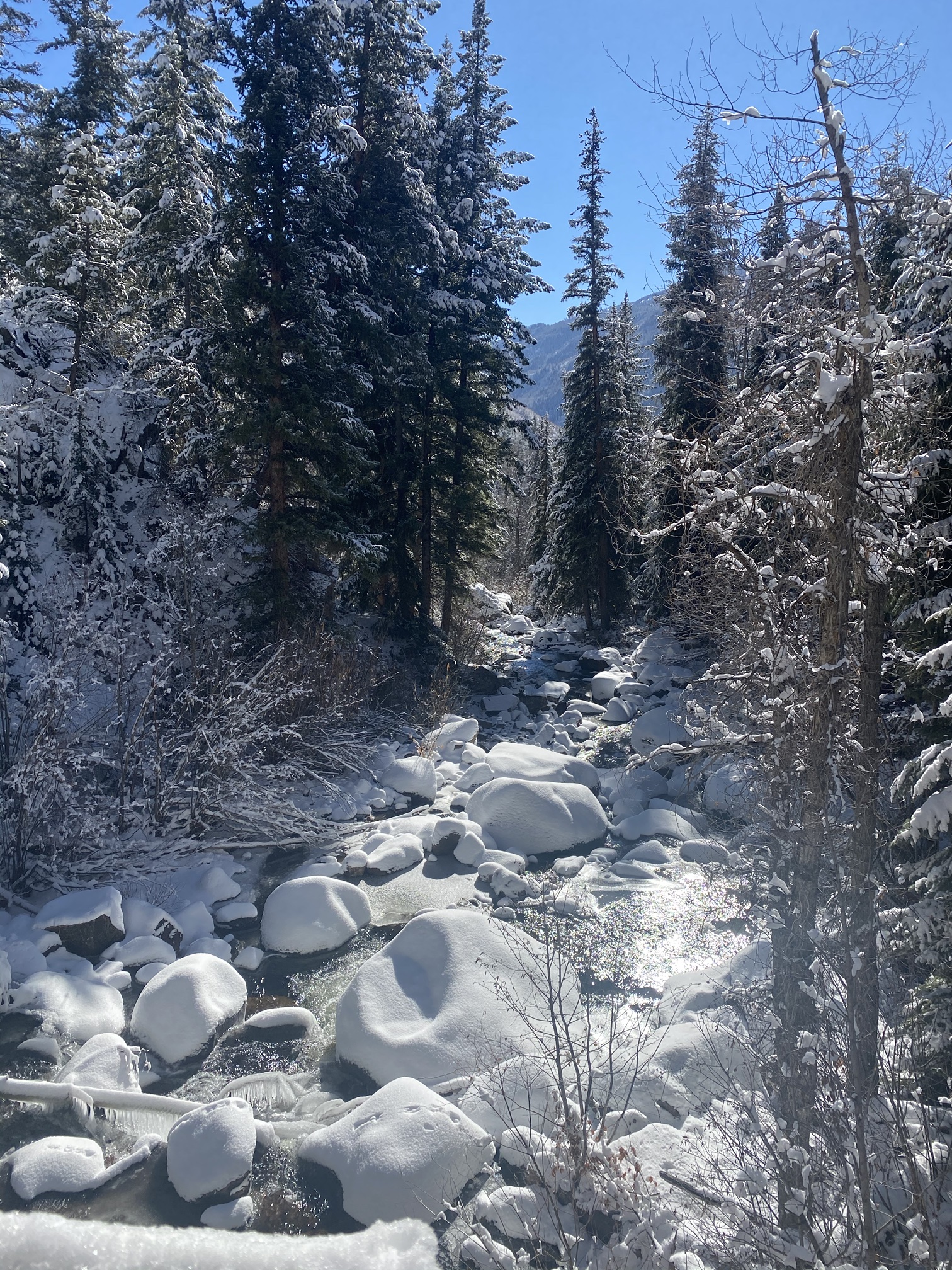Snow-capped boulders in a half-frozen creek beneath tall pines on the Hunter Creek Trail