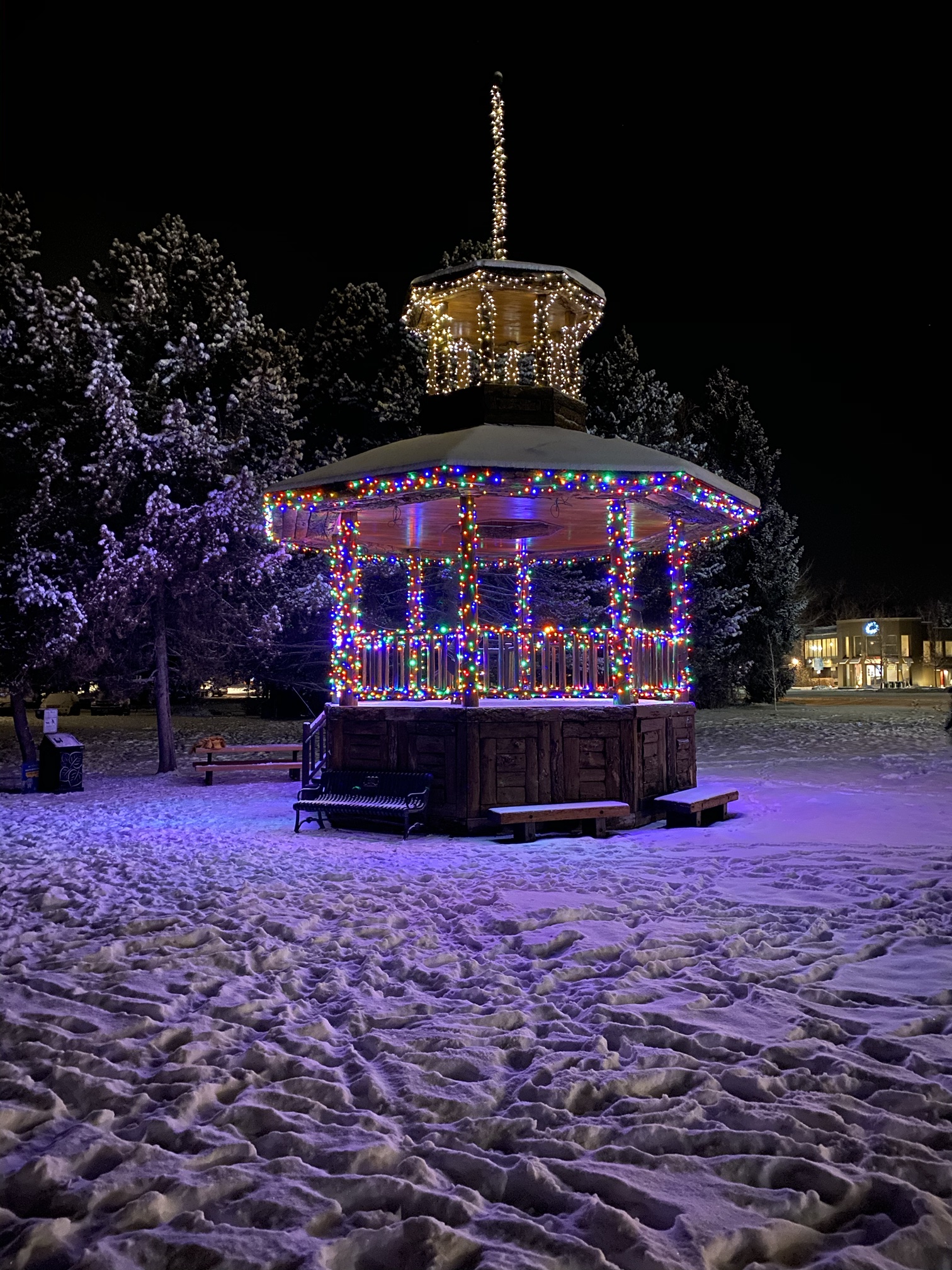 The gazebo in Paepcke Park wrapped in colorful Christmas lights after snowfall