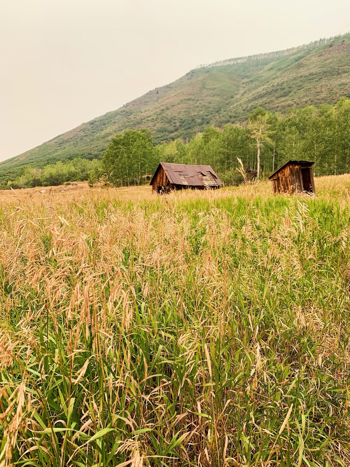 Weathered wooden mining cabins in a tall-grass meadow below a green hillside in Hunter Creek Valley