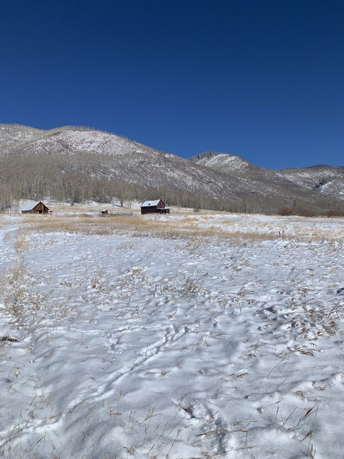 The same mining cabins in a snowy meadow under a deep blue winter sky