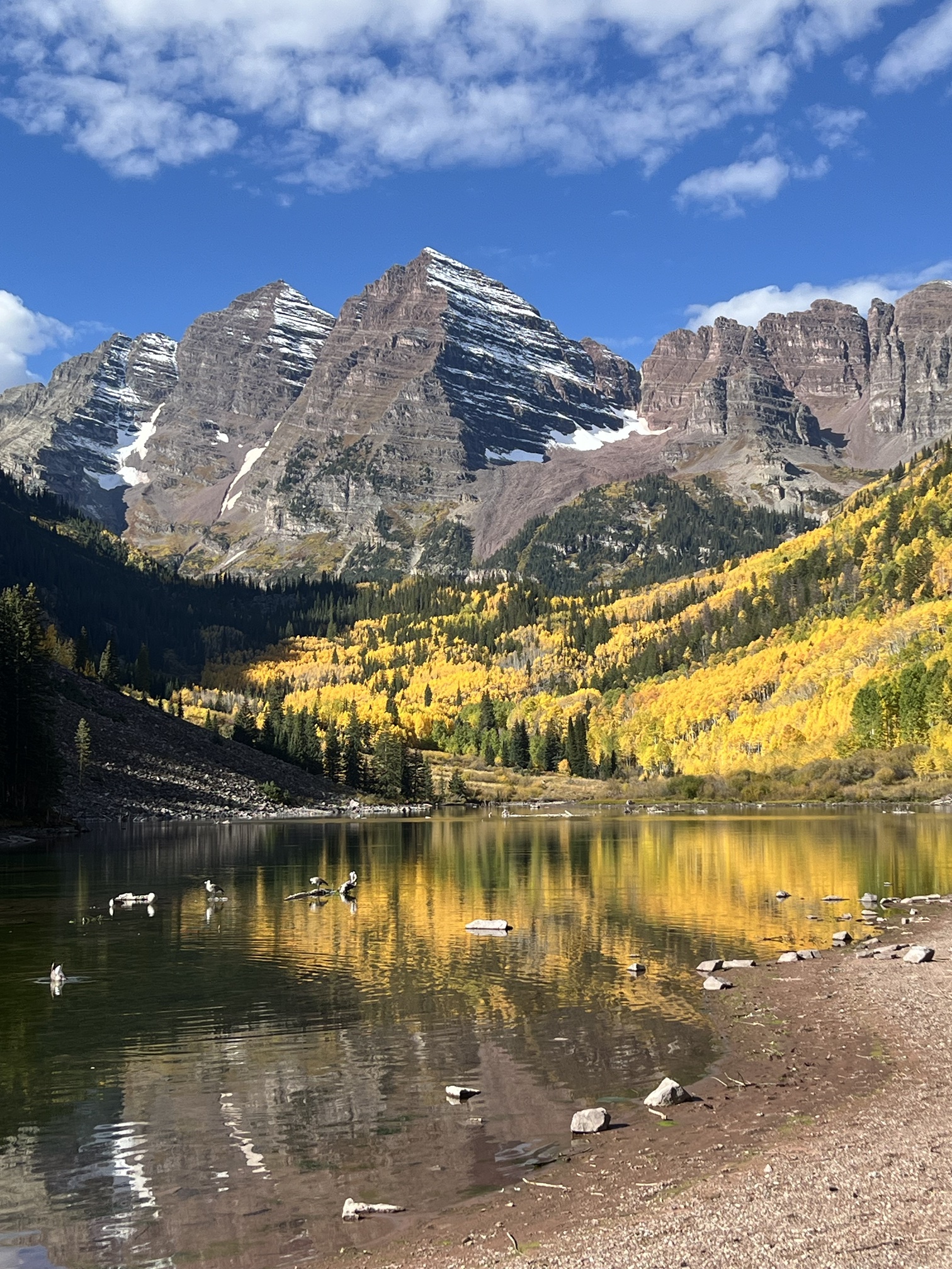 The Maroon Bells reflected in a mountain lake, framed by golden aspens in fall