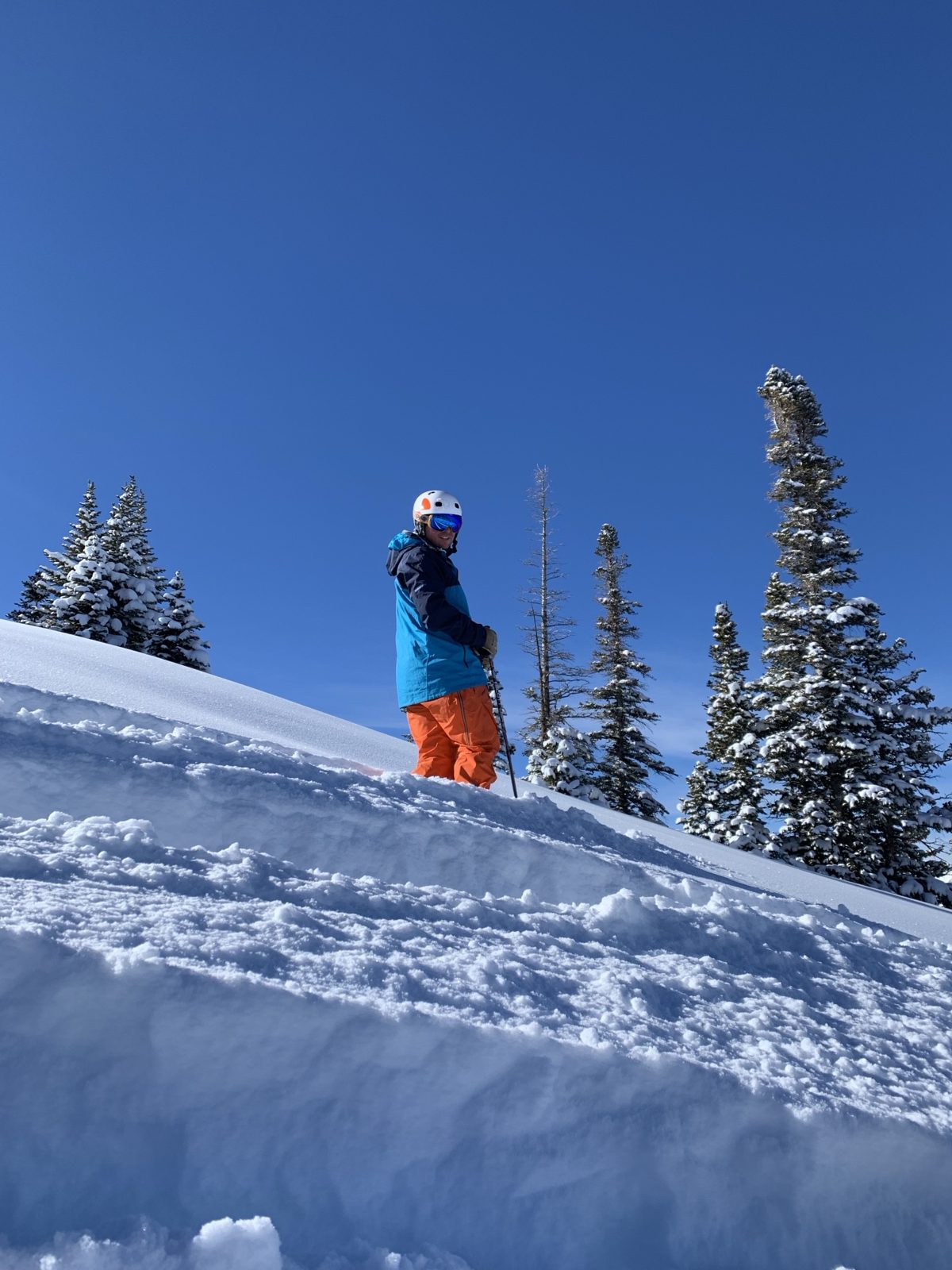 A skier in a blue jacket and orange pants standing in deep fresh snow among snow-covered pines