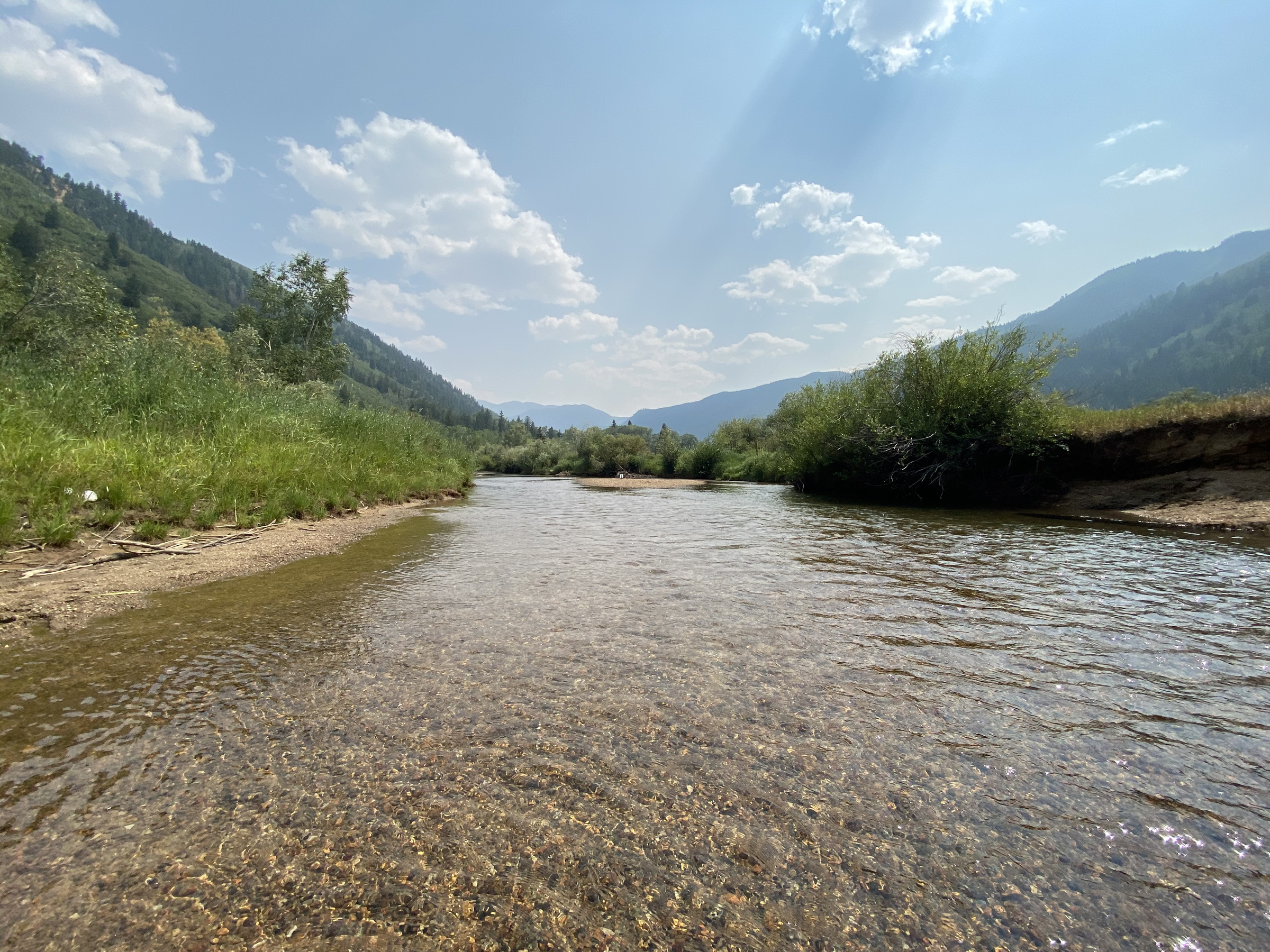 Stillwater river, Aspen, Colorado