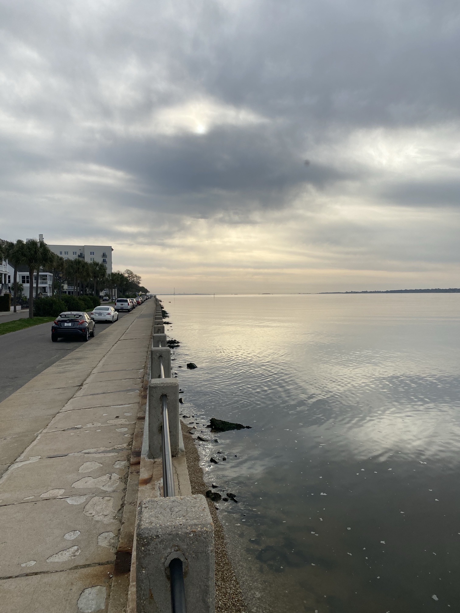The Battery seawall running along the harbor under a cloudy sky, with houses and parked cars on the left