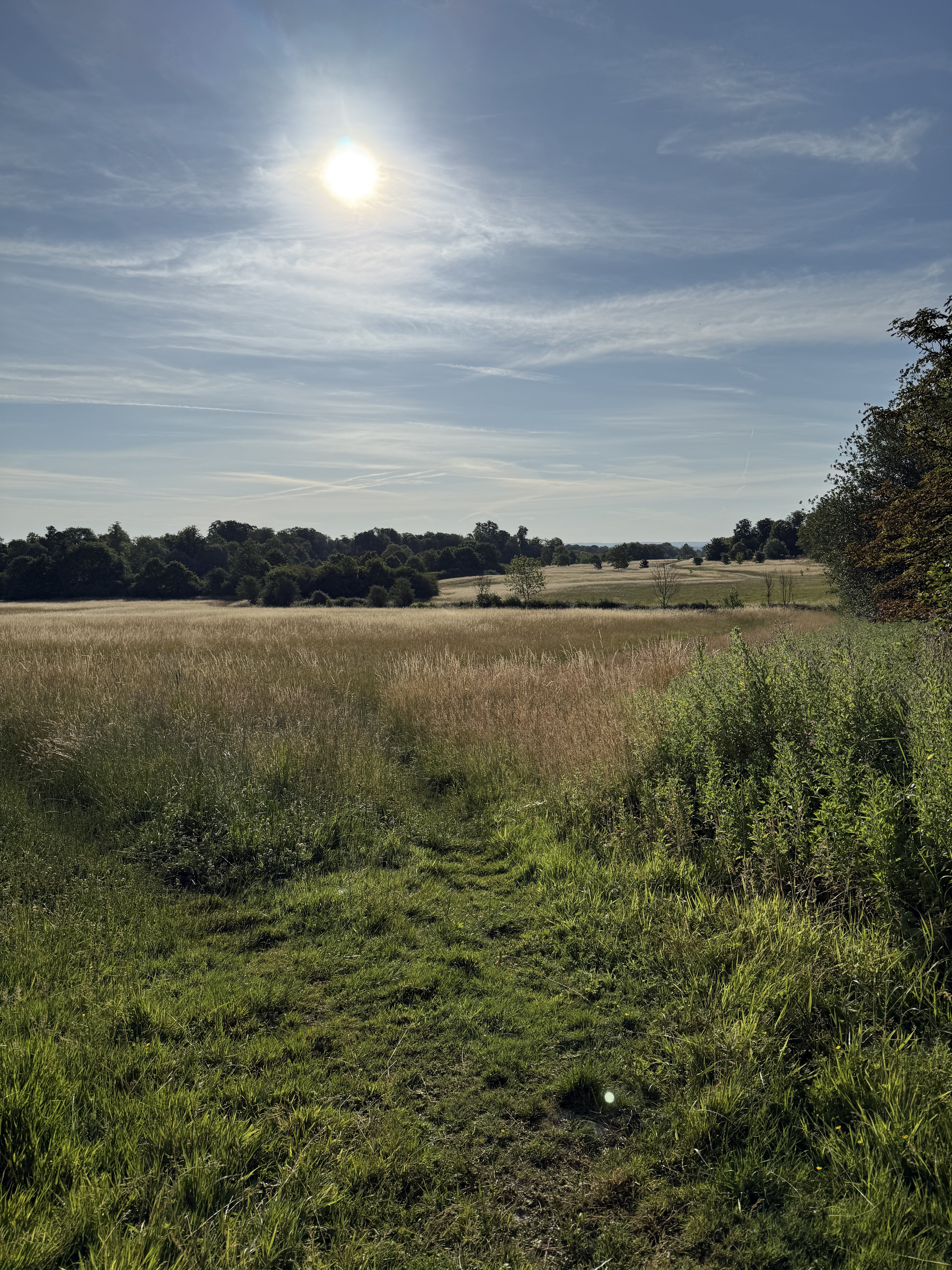 Rolling fields in the Cotswolds countryside