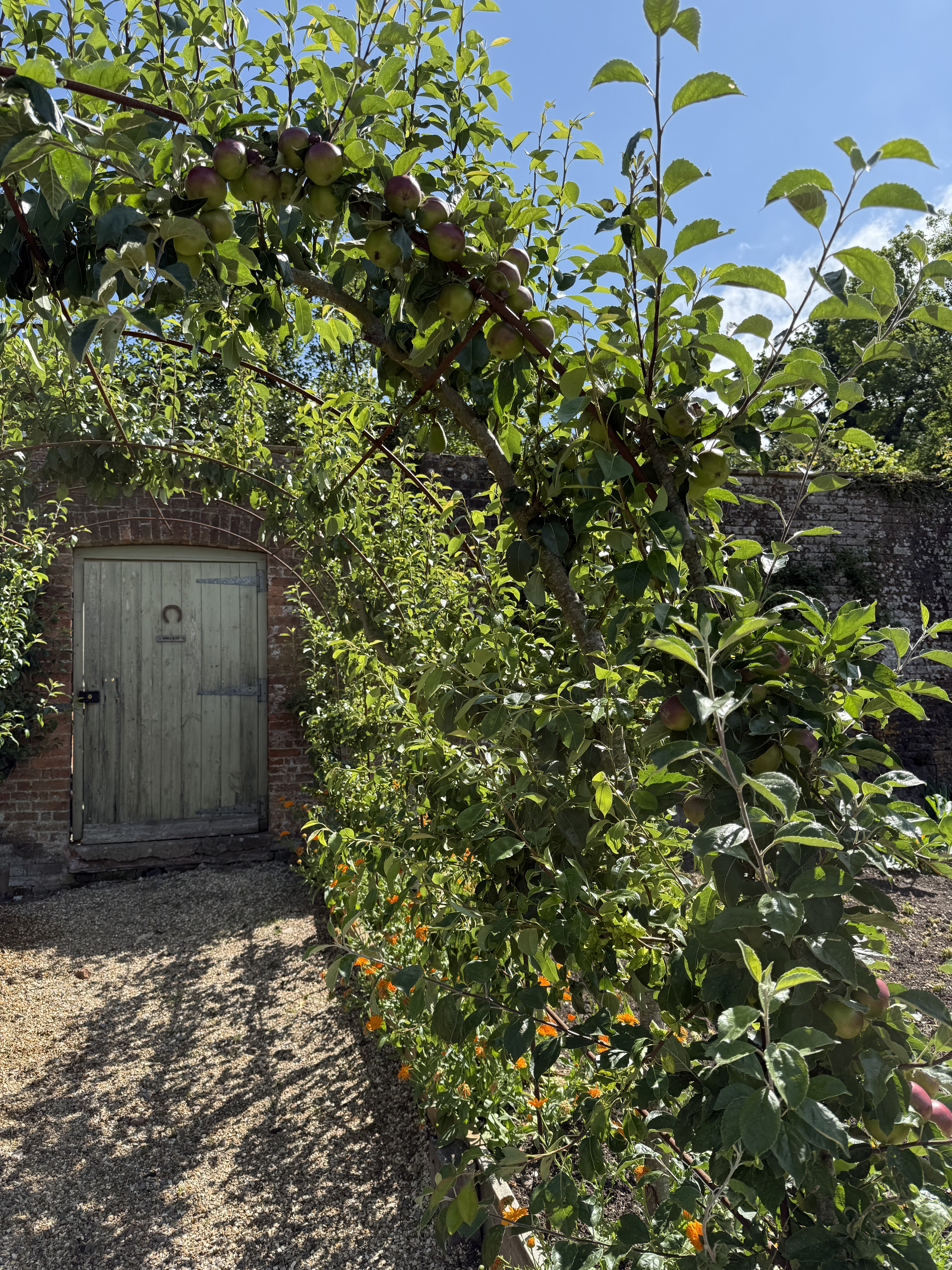 Walled kitchen garden at The Pig at Combe, Devon