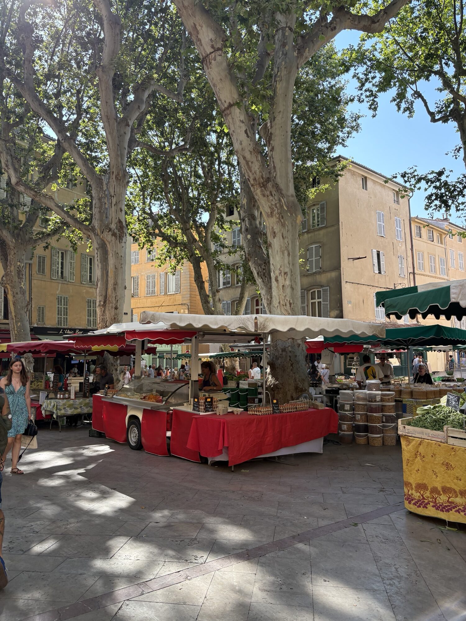 Market stalls under plane trees on Place Richelme in Aix-en-Provence