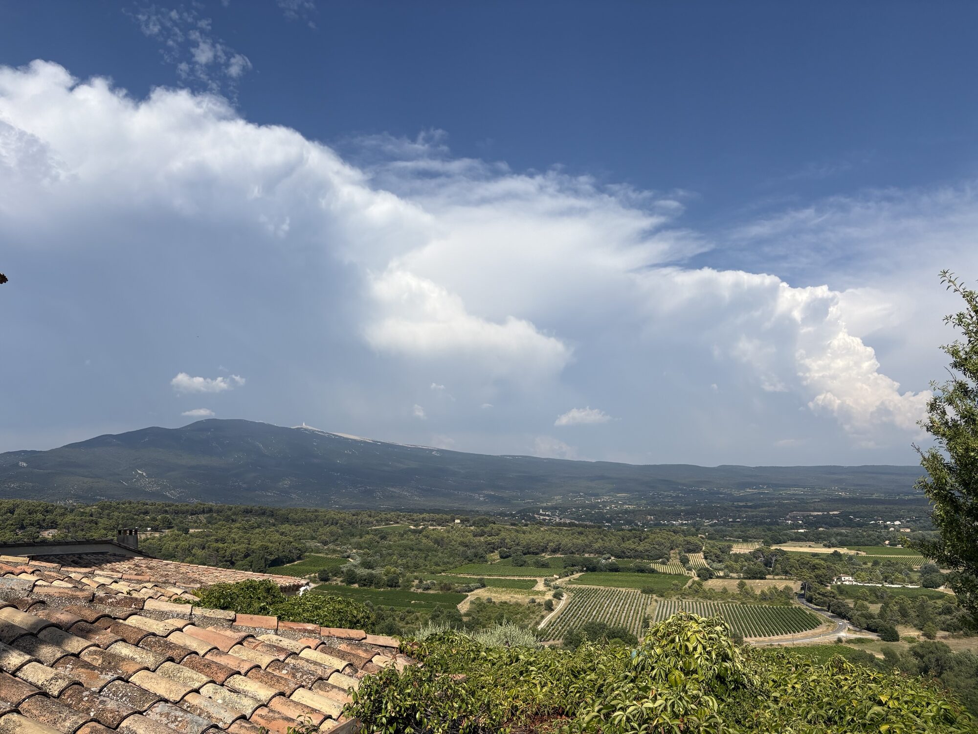 Mont Ventoux above vineyards and terracotta roofs at Crillon-le-Brave