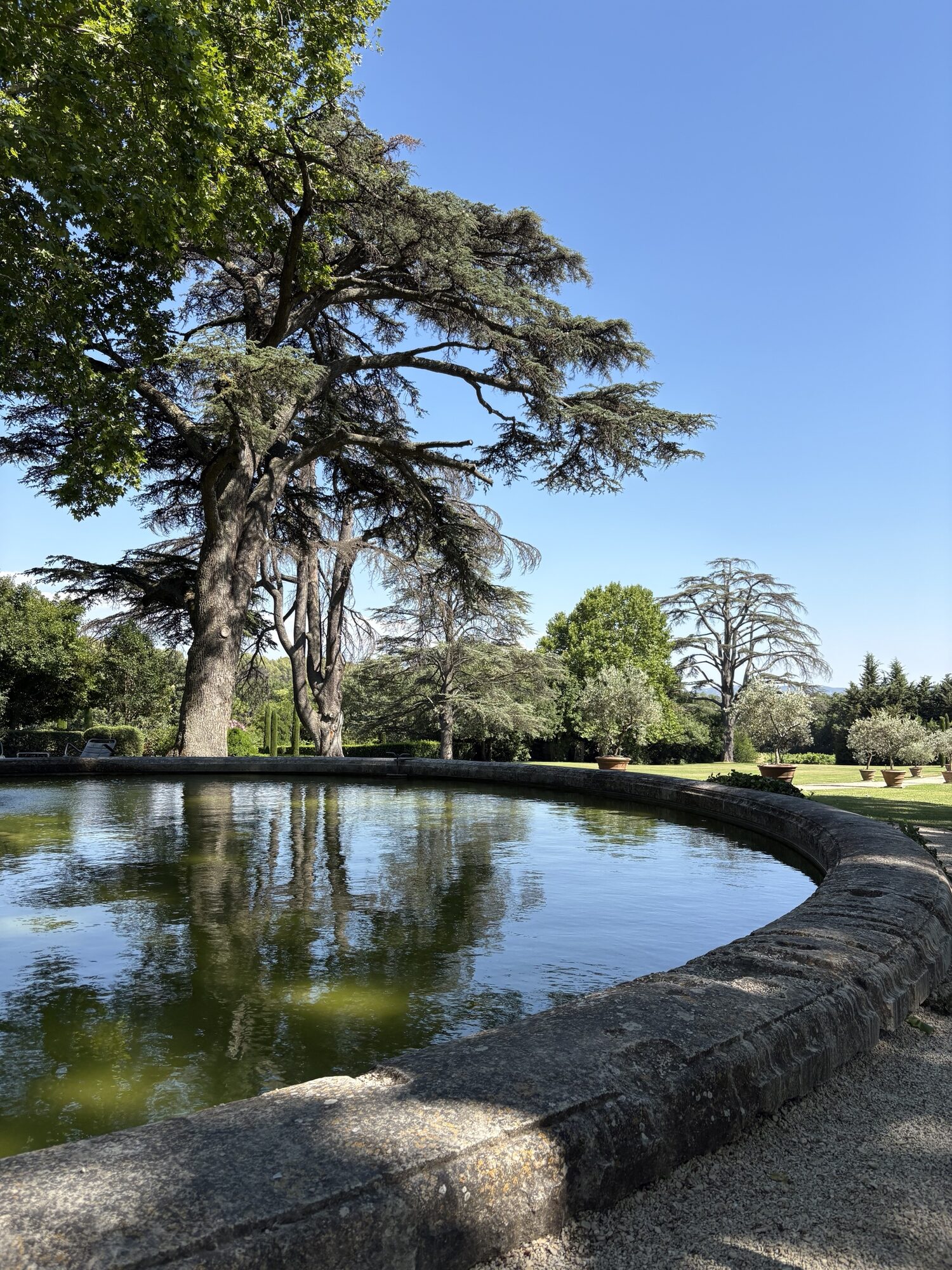 The round stone basin under the cedars at Domaine de Fontenille