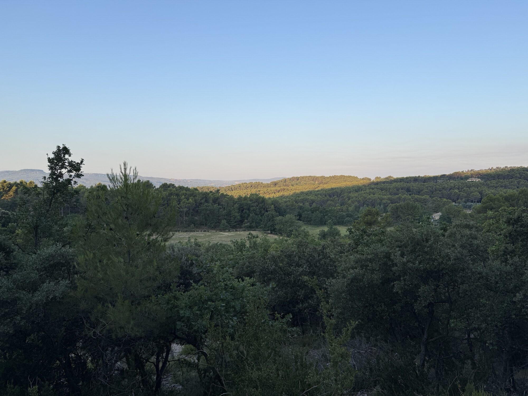 Evening light on wooded hills in Provence